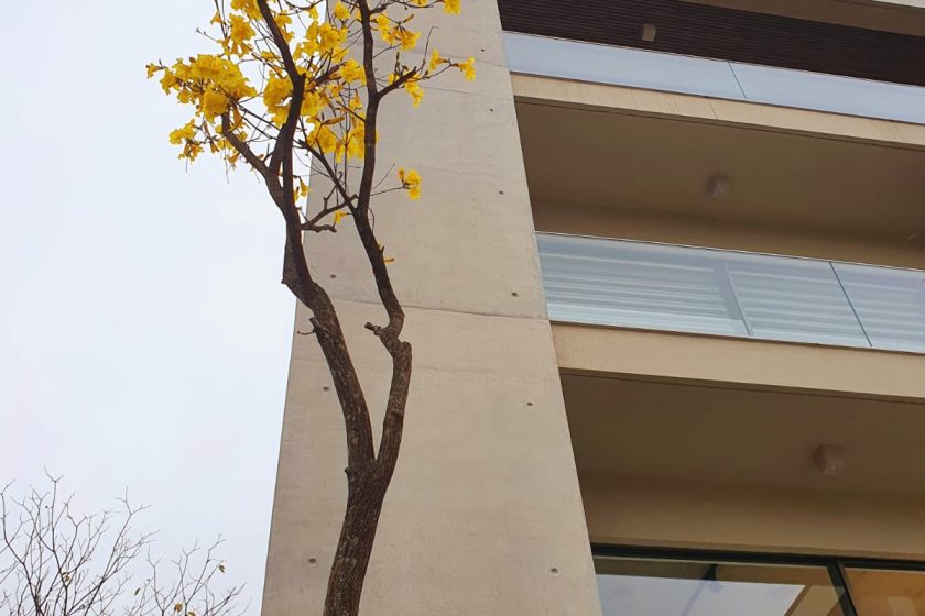 WhatsApp Image 2025-09-08 at 14.06.58