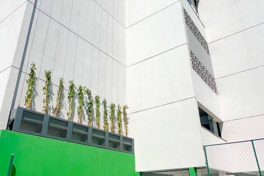 WhatsApp Image 2025-09-19 at 11.35.58 (1)